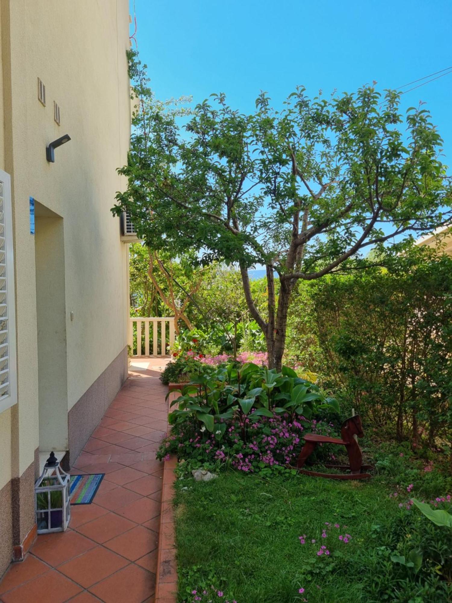 Apartments Kadenca Omis Ngoại thất bức ảnh